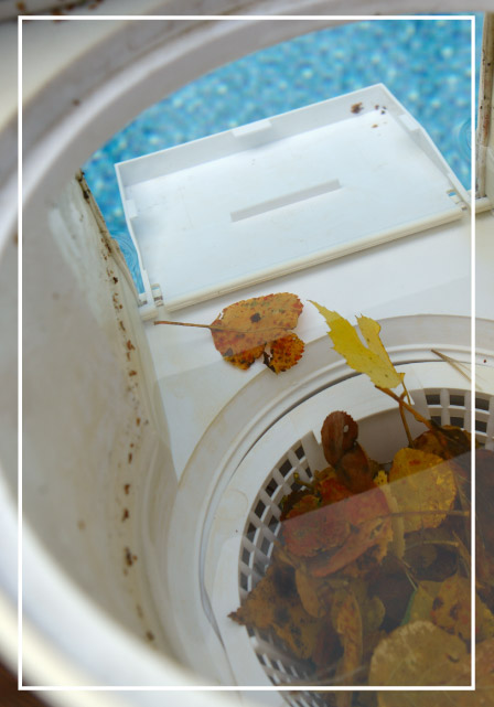 a-glossary-of-swimming-pool-terms-blogimage2-m