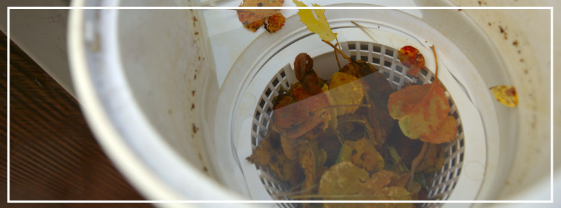 a-glossary-of-swimming-pool-terms-blogimage2