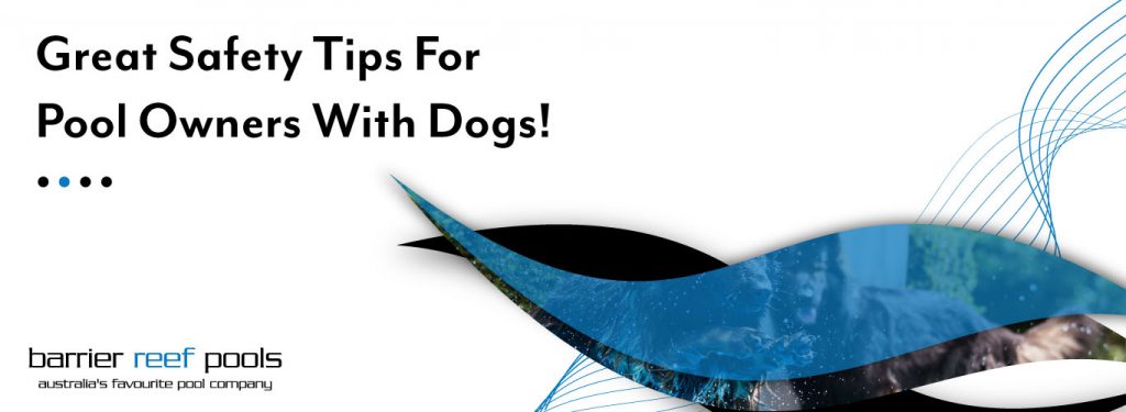 great-safety-tips-for-pool-owners-with-dogs-banner