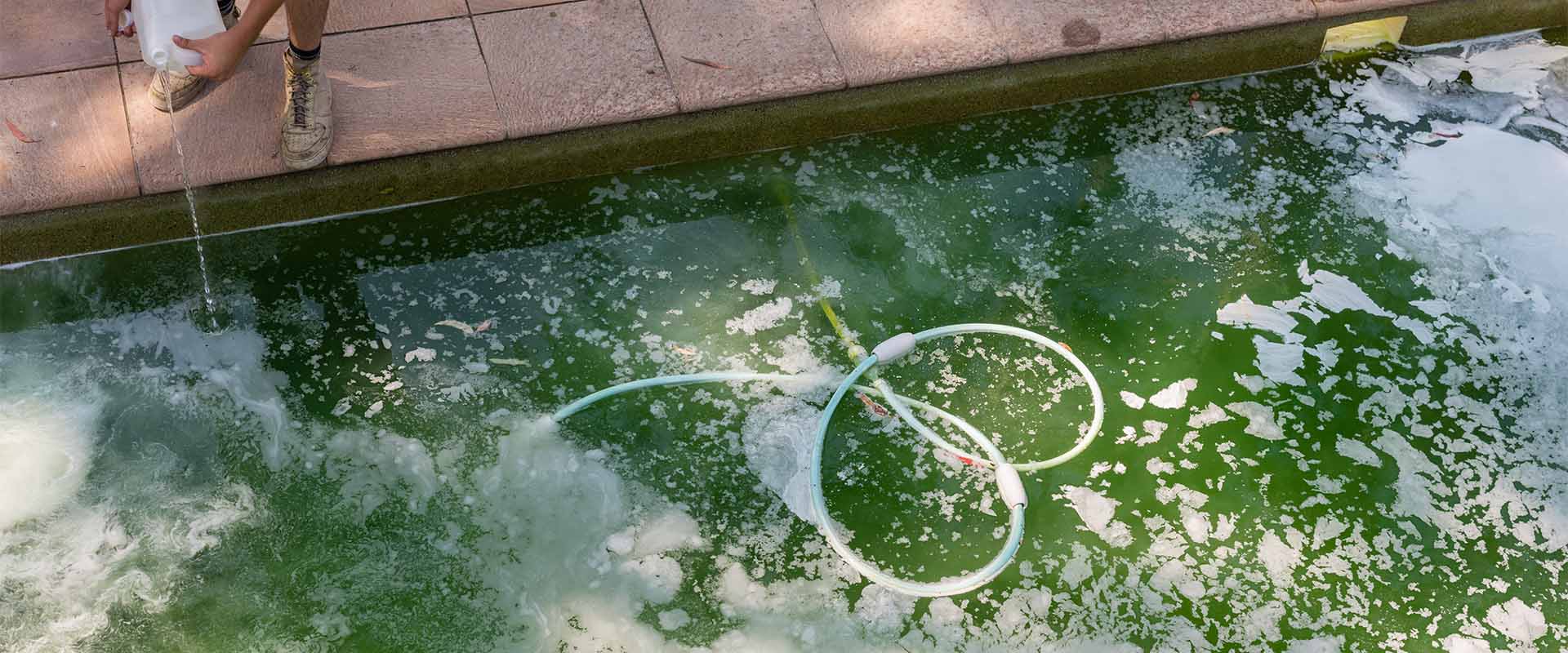 green-pool