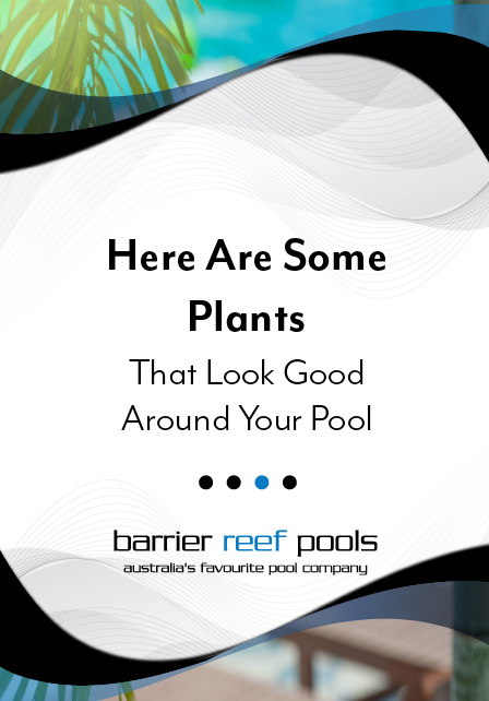here-are-some-plants-that-look-good-around-your-pool-banner-m