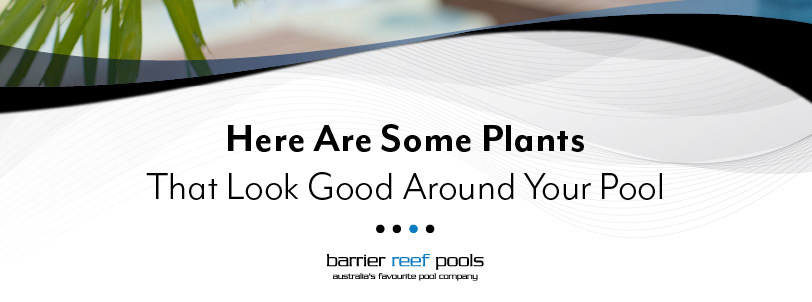 here-are-some-plants-that-look-good-around-your-pool-banner