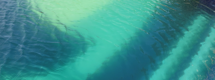 how-to-keep-your-pool-algae-free-blogimage2