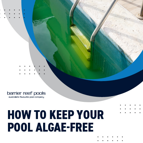 how-to-keep-your-pool-algae-free-featuredimage