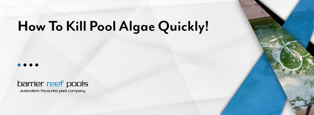 how-to-kill-pool-algae-quickly-banner