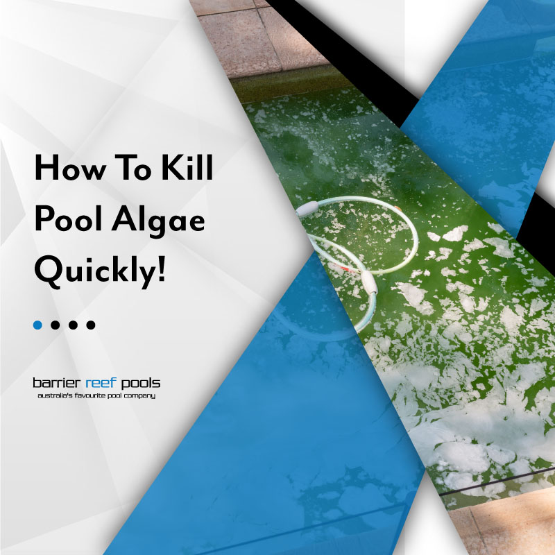 how-to-kill-pool-algae-quickly-feature