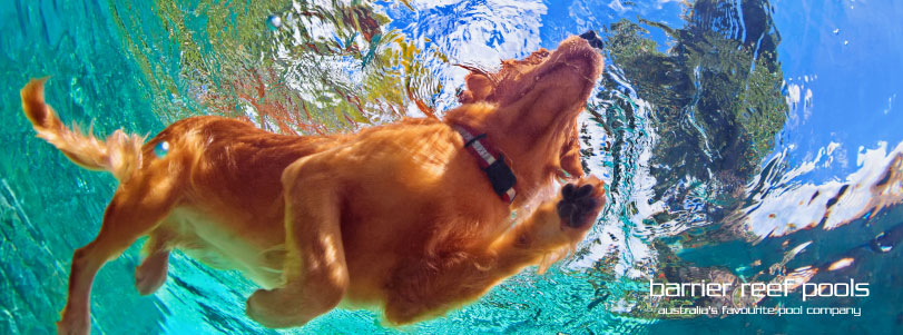 make-the-most-of-your-fibreglass-pool-banner