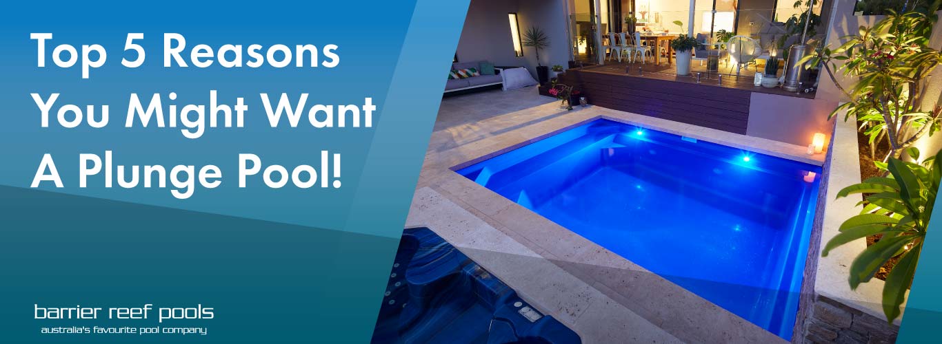 top 5 reasons you might want a plunge pool banner