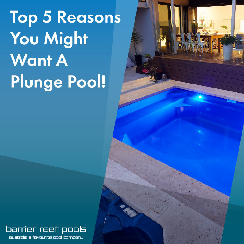 top 5 reasons you might want a plunge pool