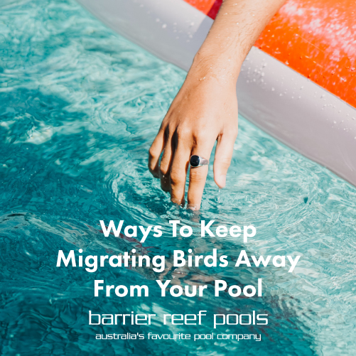 updated-migrating-birds-featuredimage